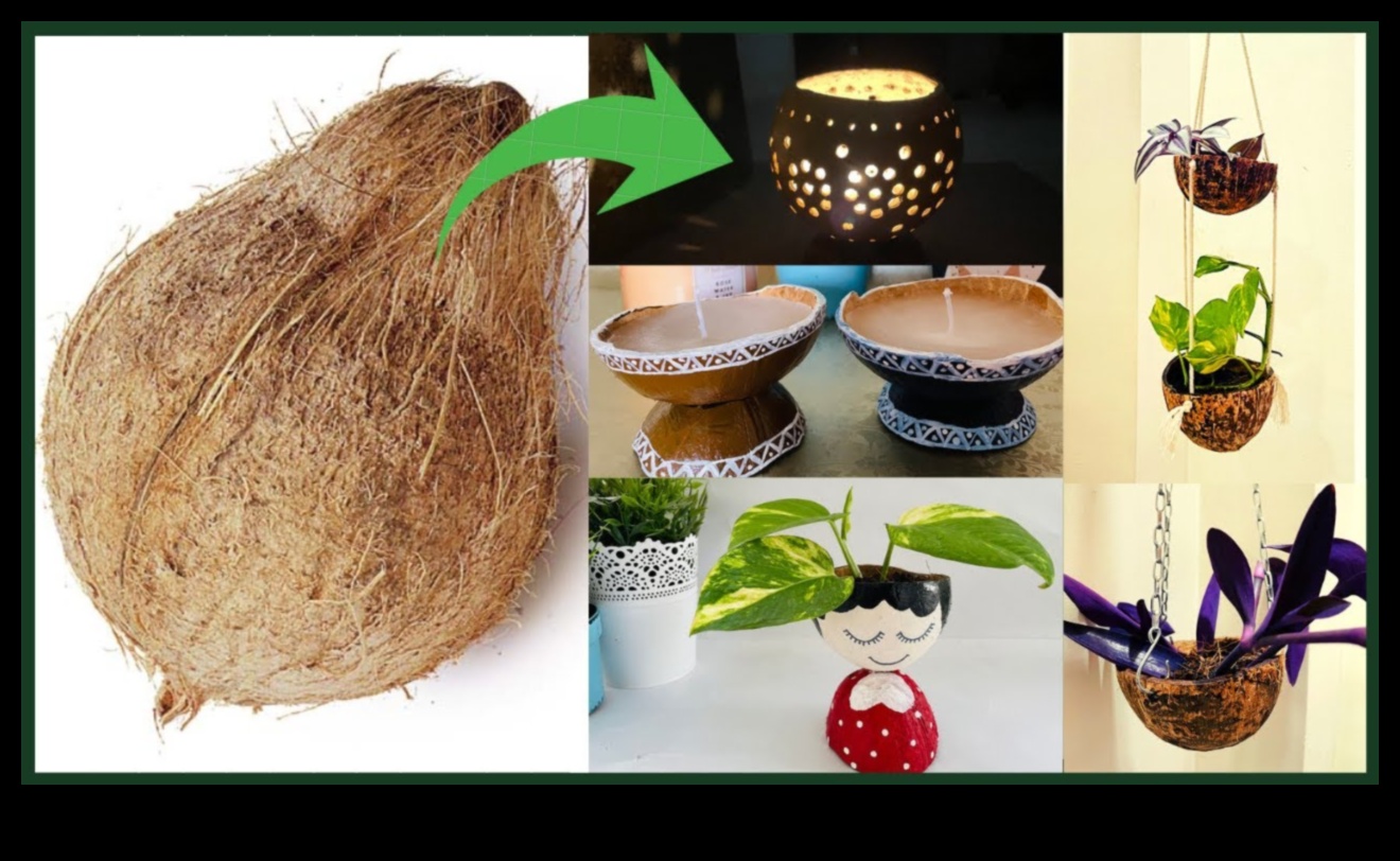 DIY Coconut Devrimi: Tropikal işçiliğinde yaratıcılığınızı serbest bırakma