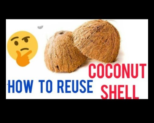 DIY Coconut Devrimi: Tropikal işçiliğinde yaratıcılığınızı serbest bırakma