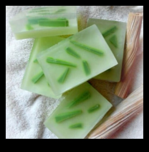 DIY ALOE Vera Bar: Evde mükemmel ferahlıkınızı hazırlamak