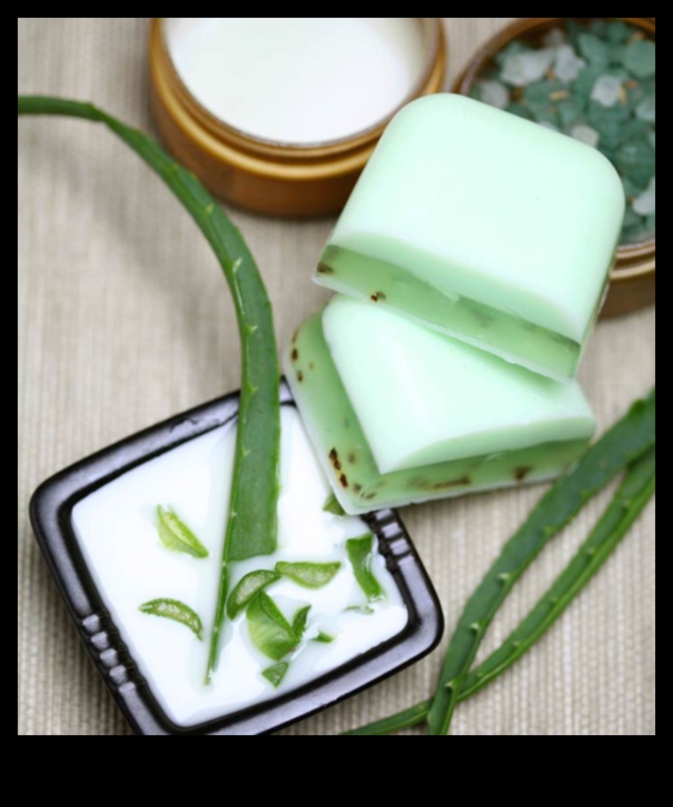 DIY ALOE Vera Bar: Evde mükemmel ferahlıkınızı hazırlamak