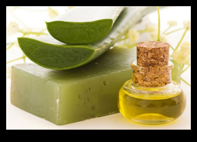 DIY ALOE Vera Bar: Evde mükemmel ferahlıkınızı hazırlamak