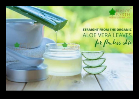 Saf ve Canlandırıcı: Aloe Vera Bliss ile Gününüzü Yükseltme