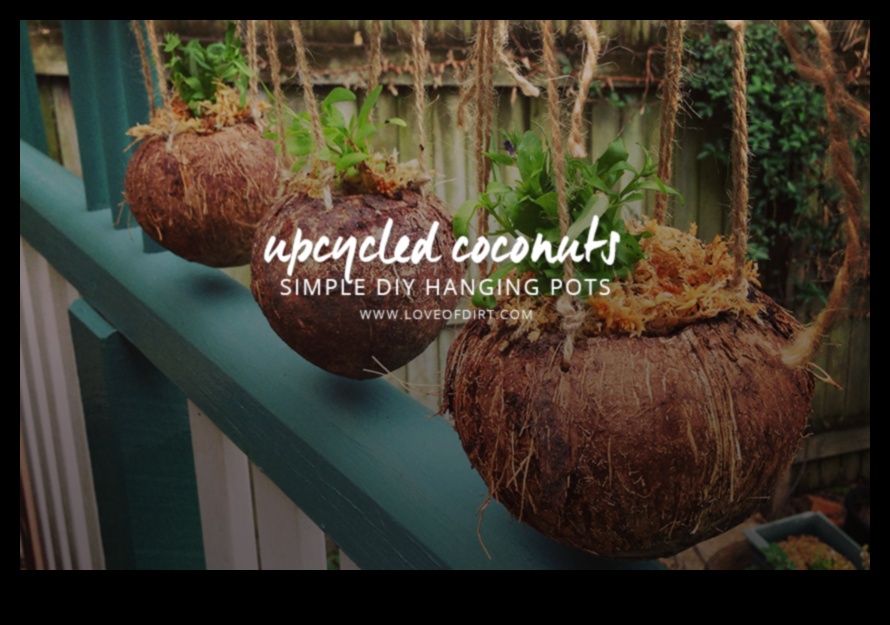 DIY Coconut Devrimi: Tropikal işçiliğinde yaratıcılığınızı serbest bırakma